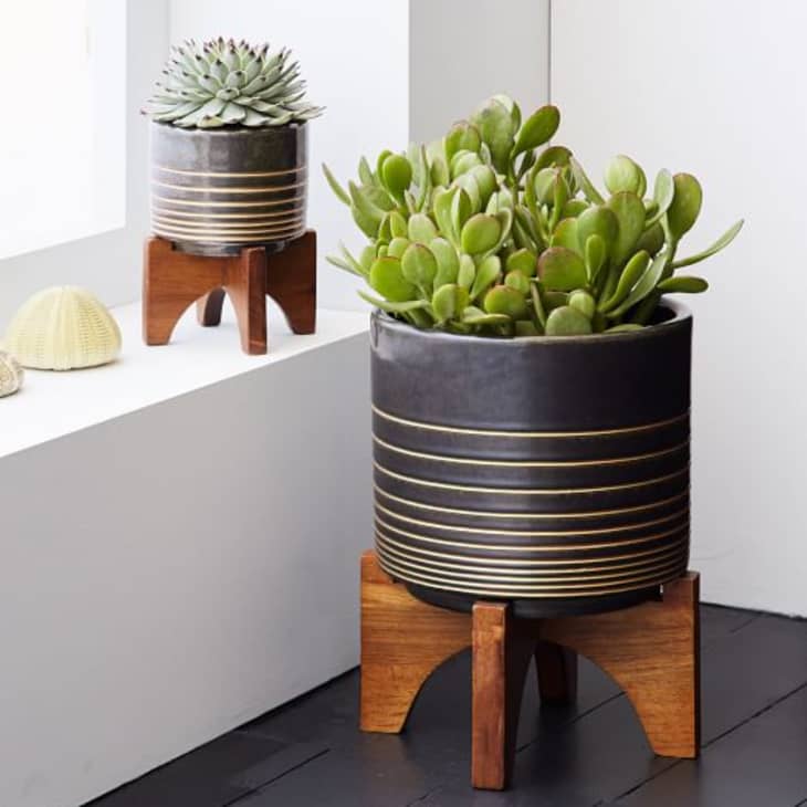 Best Modern Pots and Planters from West Elm Apartment Therapy